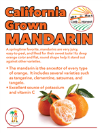 Mandarin